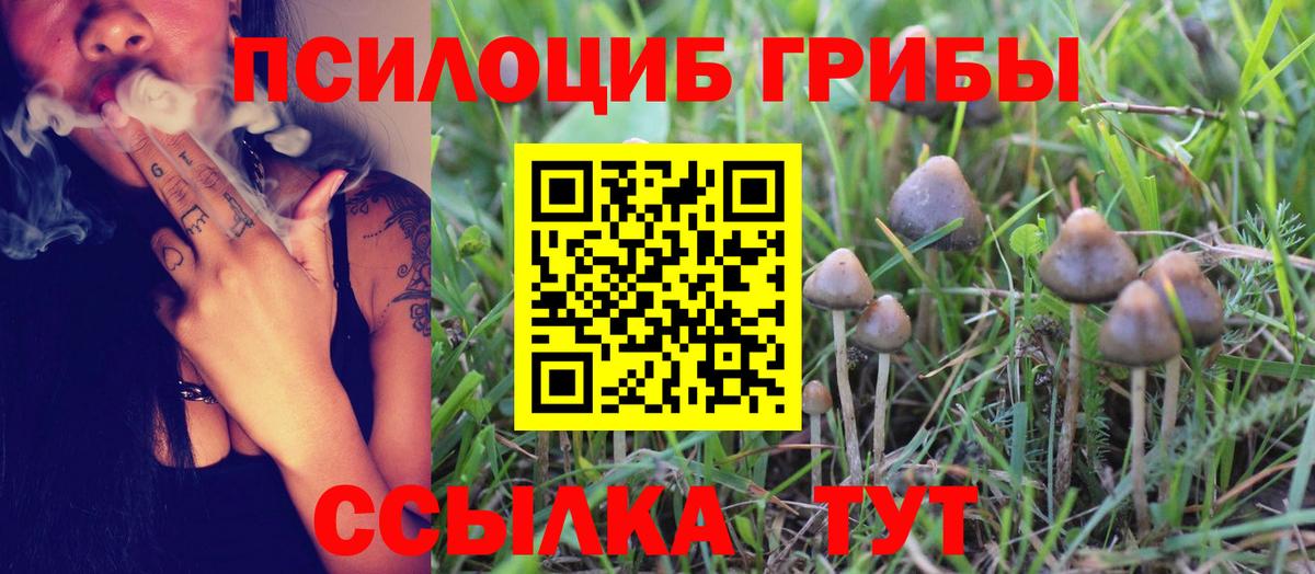 Галлюциногенные грибы GOLDEN TEACHER Орехово-Зуево